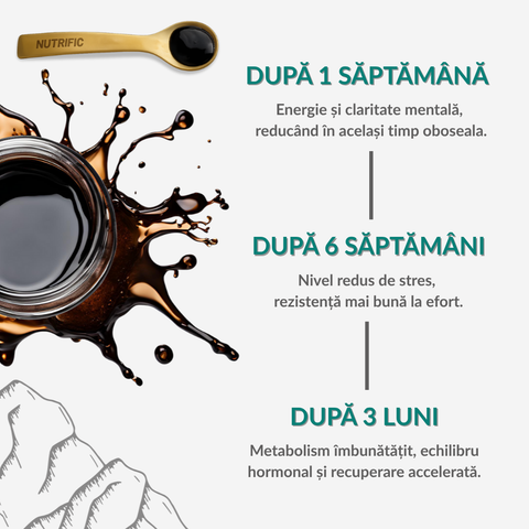 Shilajit Original, rășină mumio 100% pură 50gr